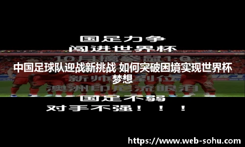 搜狐体育